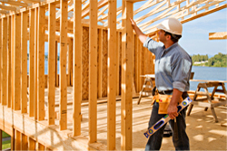 Sellers Inspection